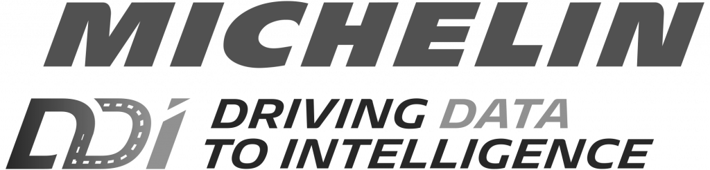 Michelin Logo - Gray